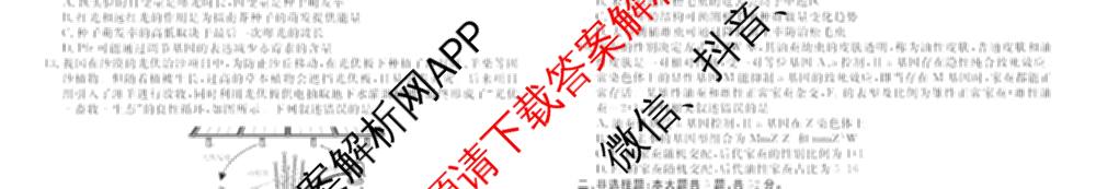 衡水金卷2025-2026学年度高三年级3月份适应性测试试卷及答案汇总: 含地理(YN)、数学、物理(YN)试卷解析生物试题