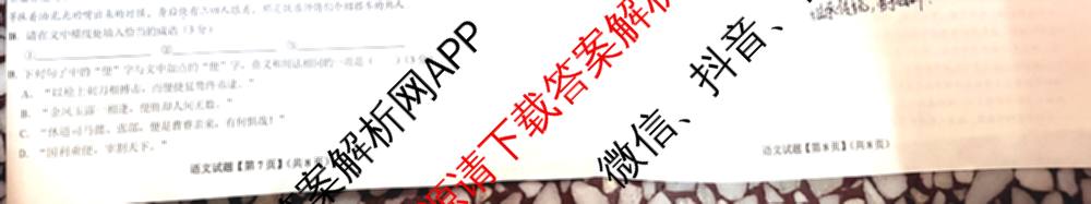 新高考金卷重庆市2025届冲刺卷(五)各科答案及试卷（含数学 地理 历史等）语文试题