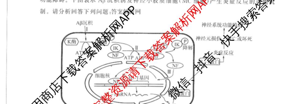 百师联盟2026届高三命题趋势预测(三)各科答案及试卷（含化学(百A)、历史(百L)、生物(百F)等）生物试题