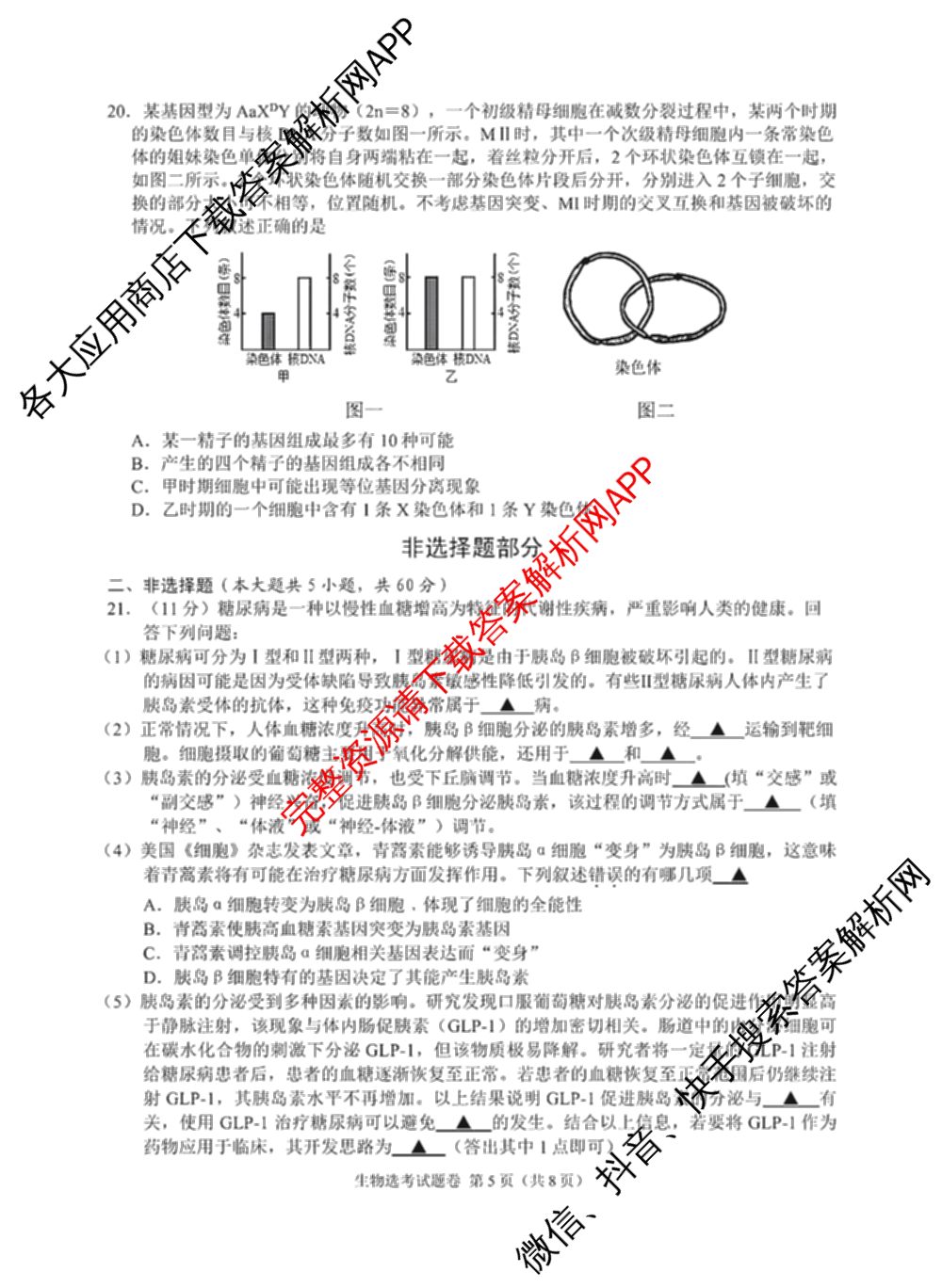 2024年11月稽阳联谊学校高三联考试卷及答案汇总: 含地理、政治、英语试卷解析生物试题