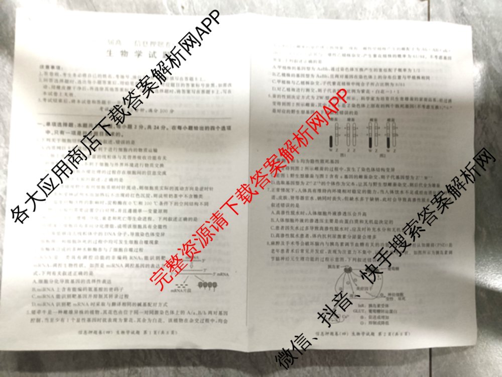 百师联盟2025届高三信息押题卷(四)4试卷及答案汇总（51科全）生物试题