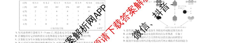 天一大联考湖南省2026届高三9月考试(无标题)各科答案及试卷（11科全）生物试题