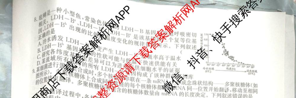 2026届高三总复习名师原创模拟(三)3试卷及答案汇总（含物理(XS6JG)、政治(新S6J)、生物(新S6)等39份）生物试题