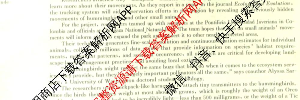 2026届高三总复习名师原创模拟(四)4各科答案及试卷（39科全）英语试题