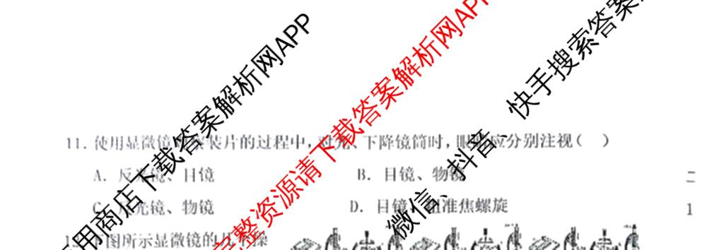 大同市大成双语学校2025-2026学年七年级第一学期阶段性测试(一)各科答案及试卷: 含地理(湘教版) 历史 道德与法治试卷解析生物试题