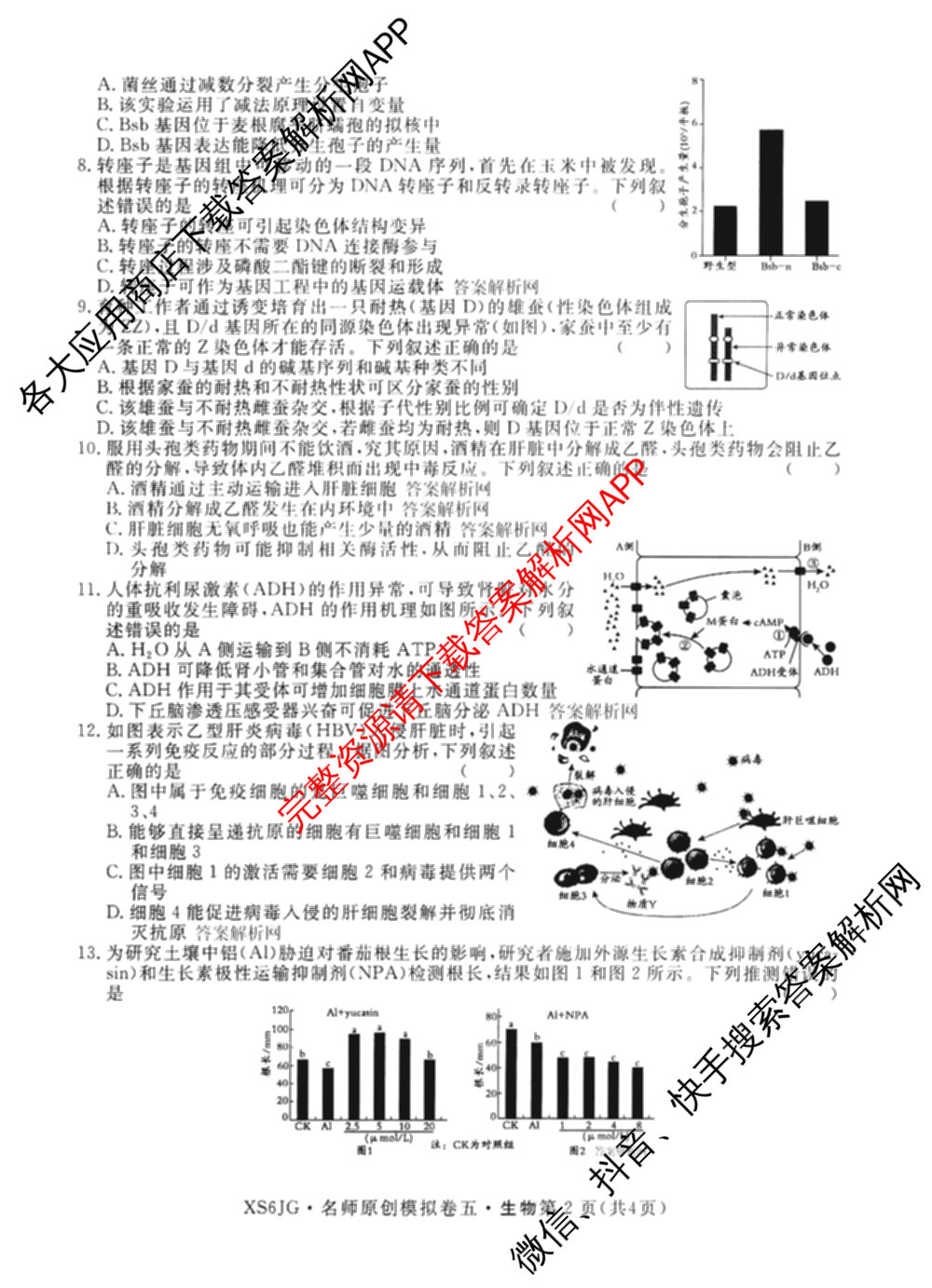 2026届高三总复习名师原创模拟(五)5各科答案及试卷（含政治(XS6JG)、化学(新S6J)、物理(CQX6)等39份）生物试题