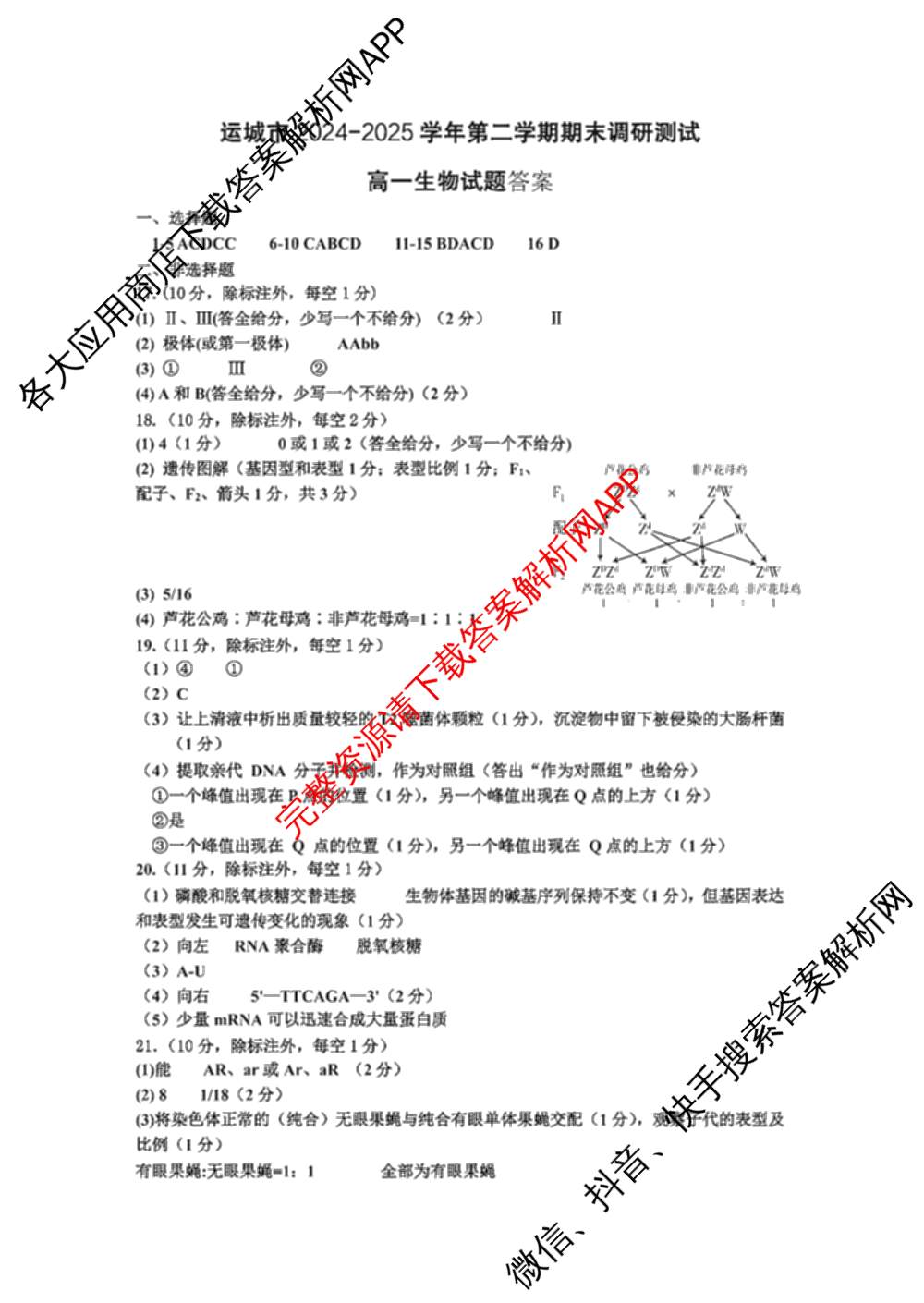 山西省运城市2024-2025学年第二学期期末调研测试(2025.7)高一: 含化学 历史 地理试卷解析生物答案