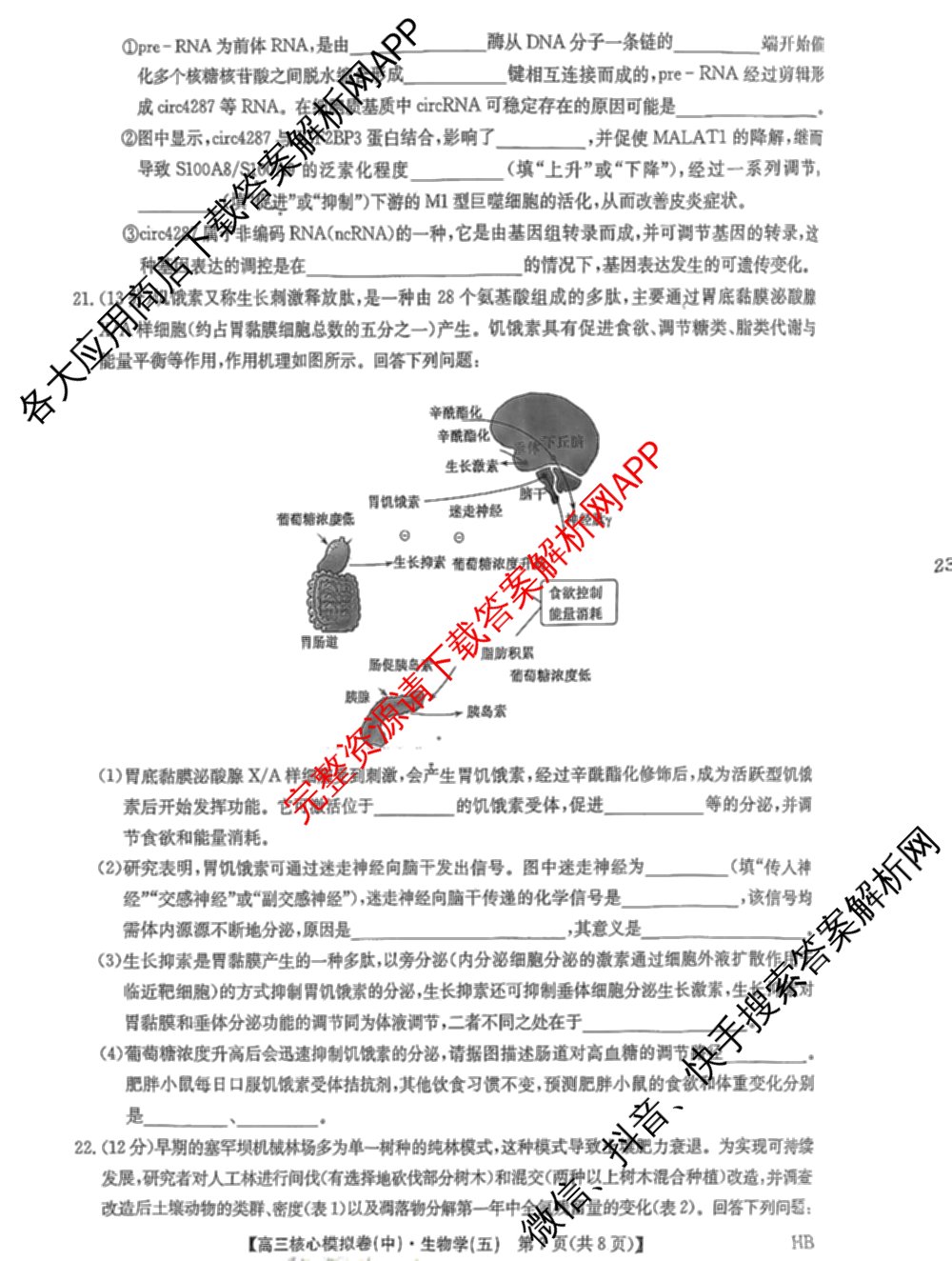 九师联盟2024~2025学年高三核心模拟卷(中)(五)5各科答案及试卷（含地理(HB) 物理(D1) 生物(D1)等）生物试题