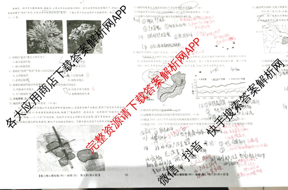 九师联盟2025~2026学年高三核心模拟卷(中)(四)试卷及答案汇总（36科全）地理试题