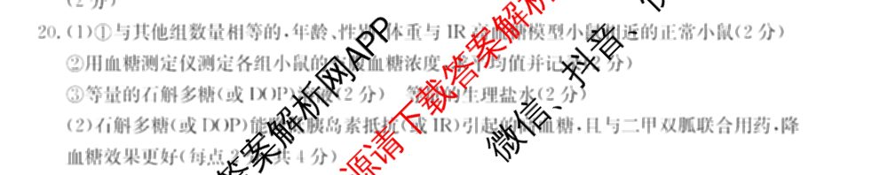 邯郸市2024届高三年级第四次调研考试(24-385C)各科答案及试卷: 含语文、化学、英语试卷解析生物答案