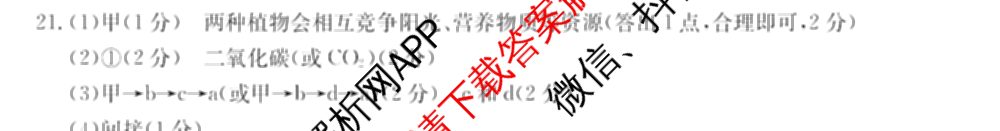 邯郸市2024届高三年级第四次调研考试(24-385C)各科答案及试卷: 含语文、化学、英语试卷解析生物答案