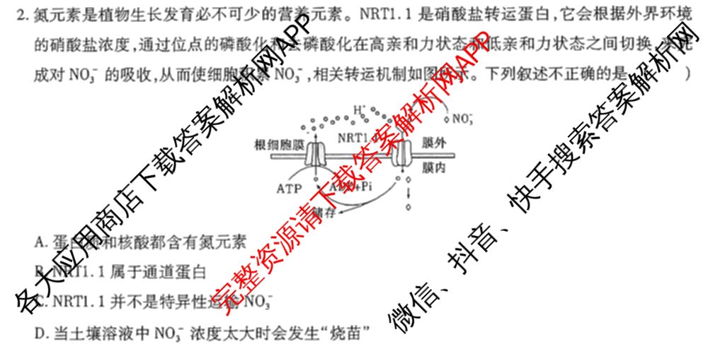 王后雄2024年普通高等学校招生全国统一考试预测卷各科答案及试卷（含语文(安徽专版)、政治(重庆专版)、历史(福建专版)等144份）生物试题