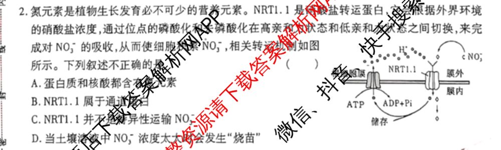 王后雄2024年普通高等学校招生全国统一考试预测卷各科答案及试卷（含语文(安徽专版)、政治(重庆专版)、历史(福建专版)等144份）生物试题