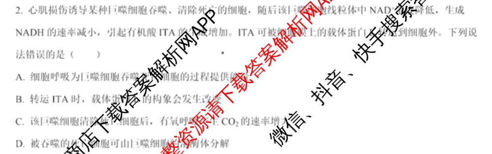 2024年高考真题(新高考)(已更新生物(山东卷) 数学(新课标II卷) 物理(河北卷)等108份)生物试题