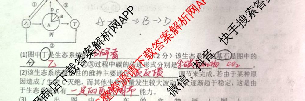 陕西省渭南市潼关中学2025-2026学年高二下学期月考(4月)试卷及答案汇总（含英语 语文 数学等）生物试题