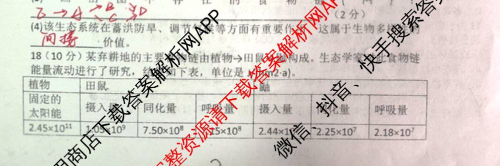 陕西省渭南市潼关中学2025-2026学年高二下学期月考(4月)试卷及答案汇总（含英语 语文 数学等）生物试题