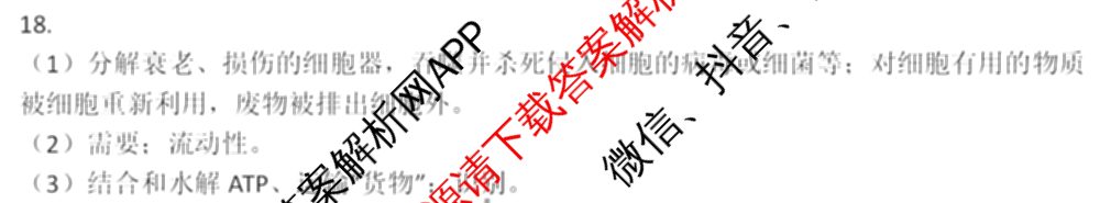 常德市沅澧共同体2025届高三第二次联考(试题卷)（含化学、历史、地理等）生物答案