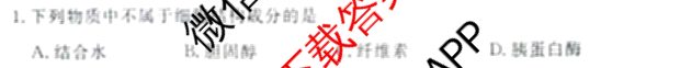 青桐鸣2025届普通高等学校招生全国统一考试青桐鸣大联考(高三)(11月)试卷及答案汇总（含语文、地理、物理等11份）生物试题