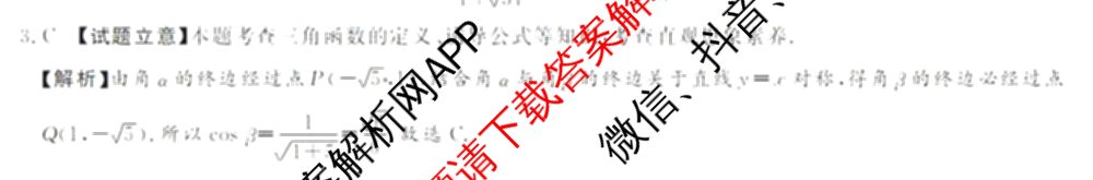 湘豫名校联考2024-2025学年高三一轮复习质量检测(12.24-25)各科答案及试卷（含英语 化学 政治等10份）数学答案