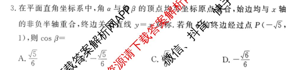 湘豫名校联考2024-2025学年高三一轮复习质量检测(12.24-25)各科答案及试卷（含英语 化学 政治等10份）数学试题