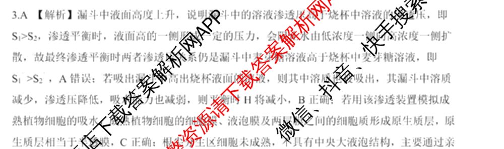 百师联盟2025届高三一轮复习联考(五)各科答案及试卷: 含地理(百S) 政治(百J) 政治(百S)试卷解析生物答案