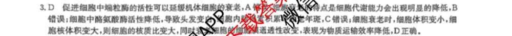 九师联盟2024~2025学年高三核心模拟卷(中)(二)2（含历史 地理(D4) 数学等29份）生物答案