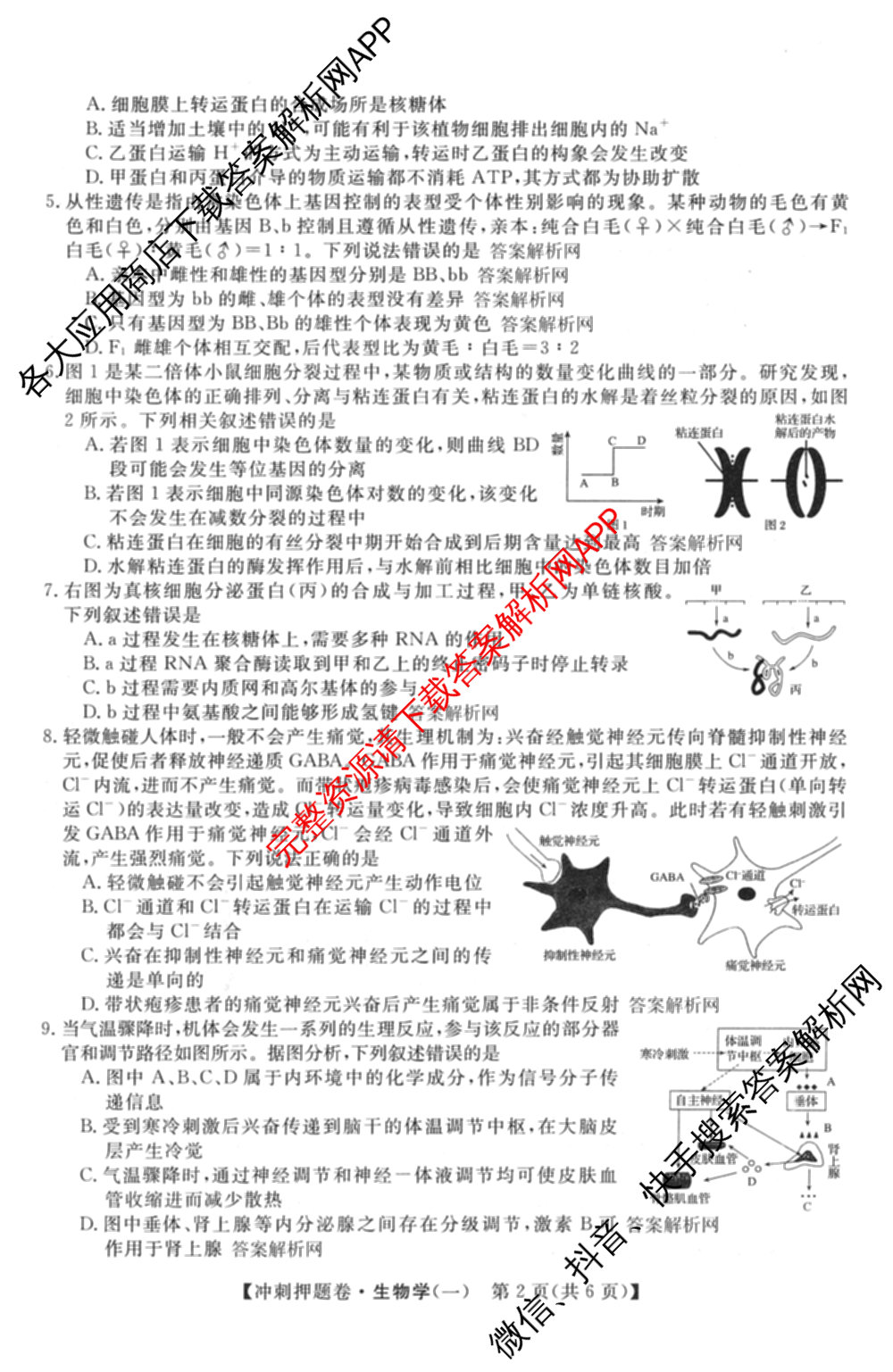 2026普通高等学校招生全国统一考试冲刺押题卷(一)1试卷及答案汇总（含化学、数学(A)、生物(AC)等）生物试题