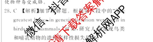2025届高三部分重点中学3月联合测评(T8联考)(第二次八省联考)(已更新化学(HBZB)、历史(SXZB)、语文等25份)英语答案