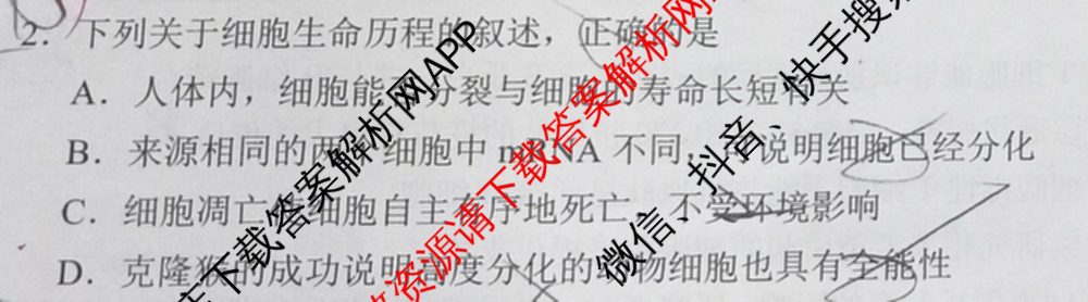 学科网2025届高三4月大联考试卷及答案汇总（含物理(新高考卷C) 文综(新课标卷) 英语(新课标卷A)等）生物试题