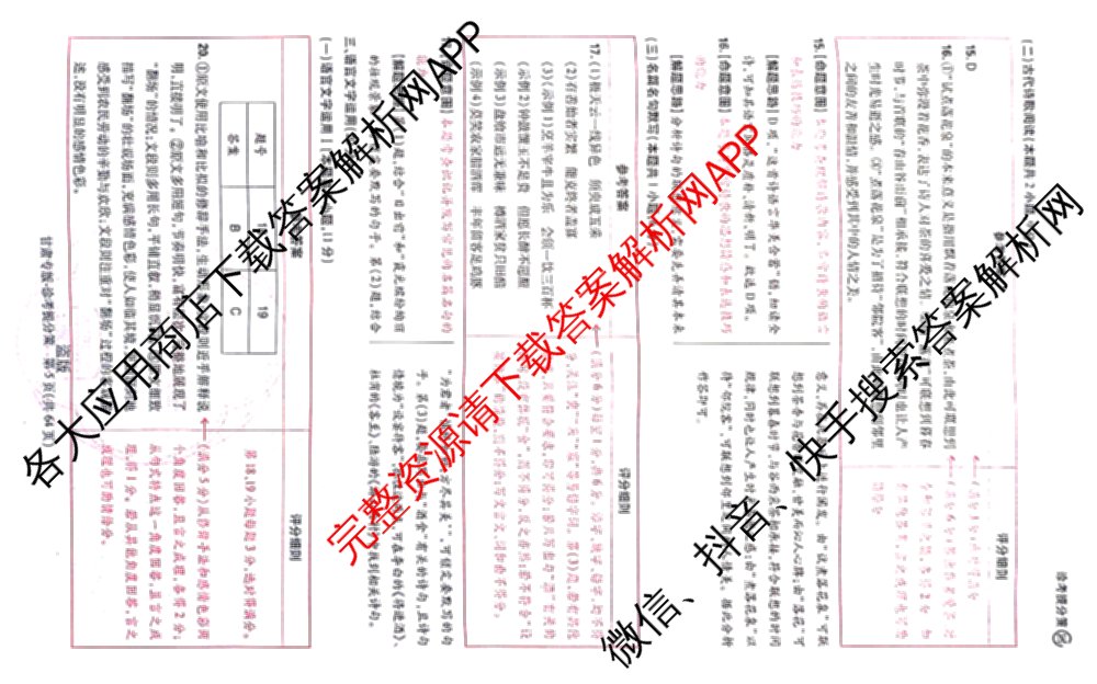 王后雄2024年普通高等学校招生全国统一考试预测卷各科答案及试卷（含语文(安徽专版)、政治(重庆专版)、历史(福建专版)等144份）语文答案