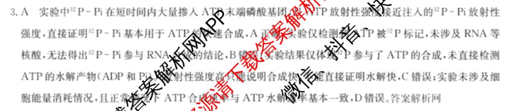 2026年全国高考冲刺压轴卷(四)4各科答案及试卷（含化学(B2)、历史(江西)、地理(广西)等）生物答案