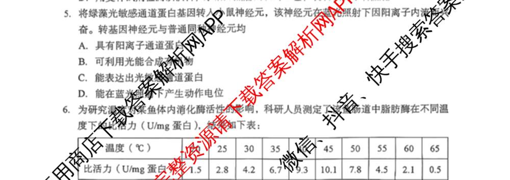 湖北省黄石市2026年全市高三(9月)质量监测各科答案及试卷（9科全）生物试题