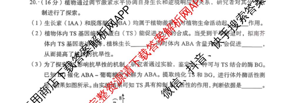 湖北省黄石市2026年全市高三(9月)质量监测各科答案及试卷（9科全）生物试题