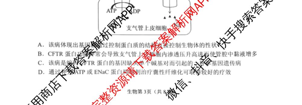 江苏省镇江市2026~2027学年第一学期高三期初质量监测2026.9各科答案及试卷（含语文、政治、化学等）生物试题