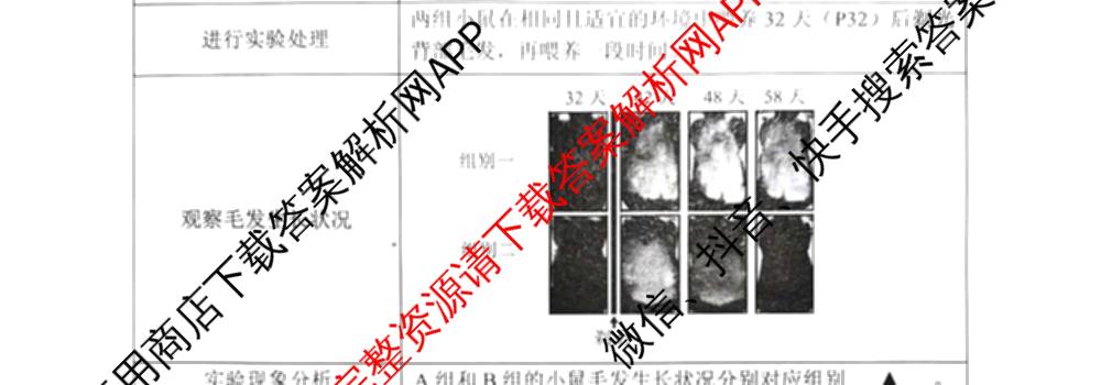 江苏省镇江市2026~2027学年第一学期高三期初质量监测2026.9各科答案及试卷（含语文、政治、化学等）生物试题