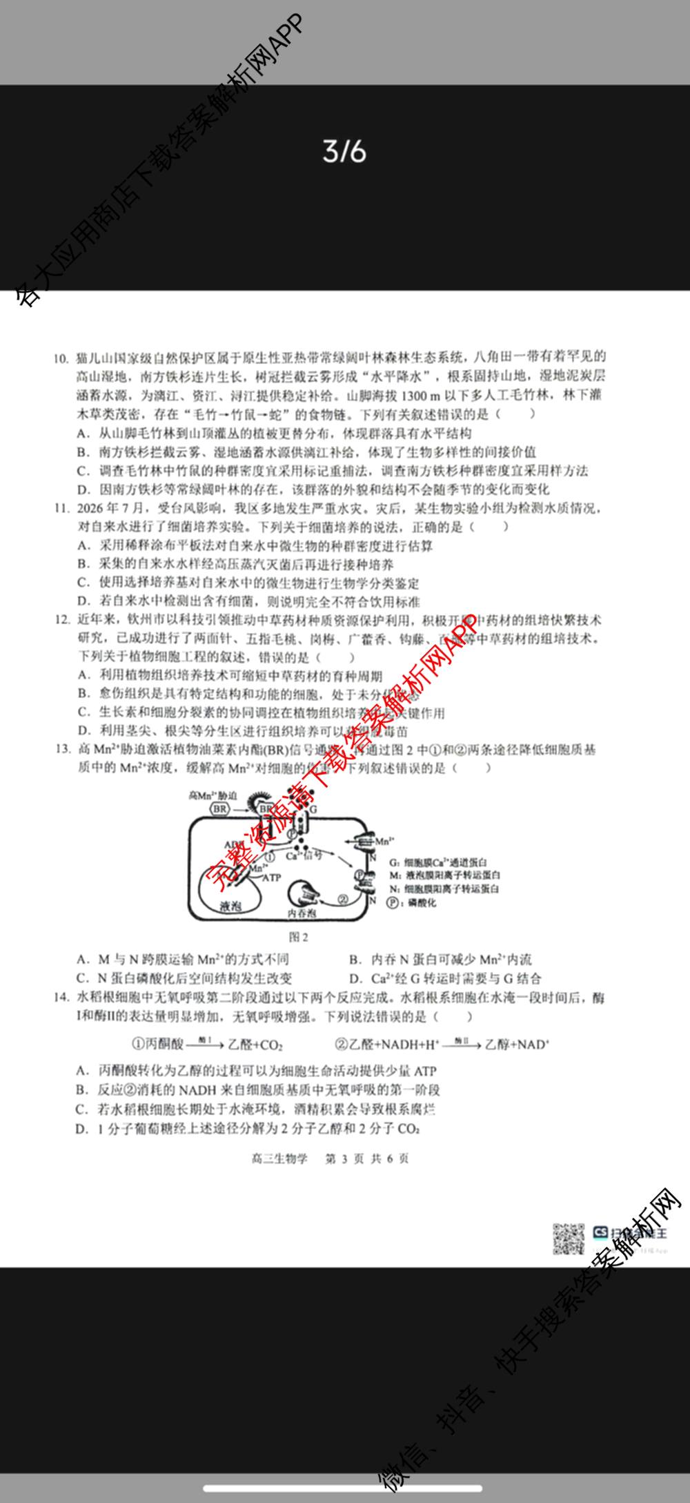 广西河池市2027届高三自主检测练(9.16)试卷及答案汇总（含数学 生物 地理等9份）生物试题
