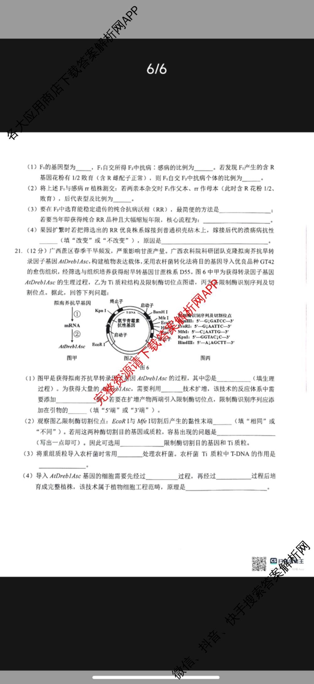 广西河池市2027届高三自主检测练(9.16)试卷及答案汇总（含数学 生物 地理等9份）生物试题