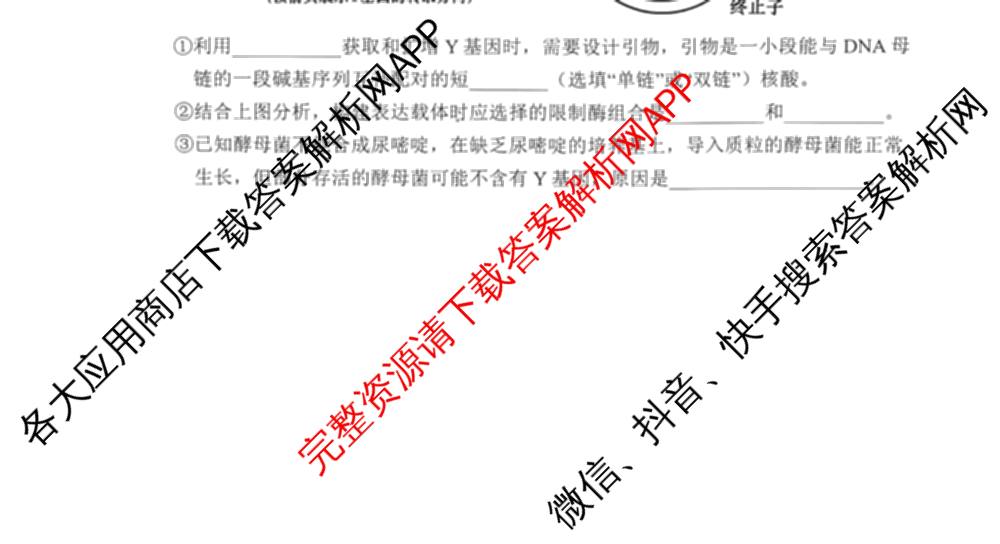 海南省海口市2027届高三年级摸底考试(9月)各科答案及试卷（含化学 政治 数学等9份）生物试题