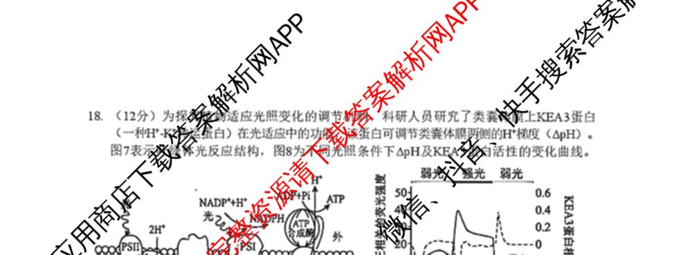 广东省宝安区2026-2027学年第一学期教学质量检测高三(2026.9)各科答案及试卷(已更新地理、生物、英语等9份)生物试题