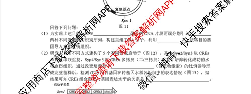 广东省宝安区2026-2027学年第一学期教学质量检测高三(2026.9)各科答案及试卷(已更新地理、生物、英语等9份)生物试题