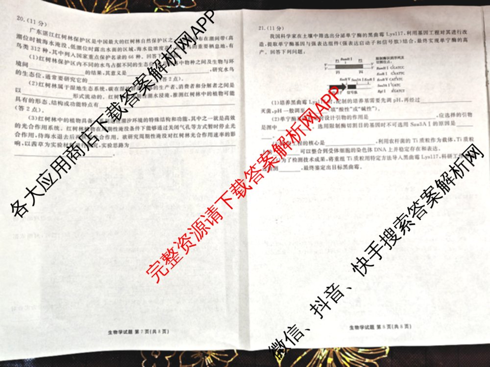 衡水金卷广东省2025届高三年级9月份联考各科答案及试卷（含英语 物理 历史等）生物试题