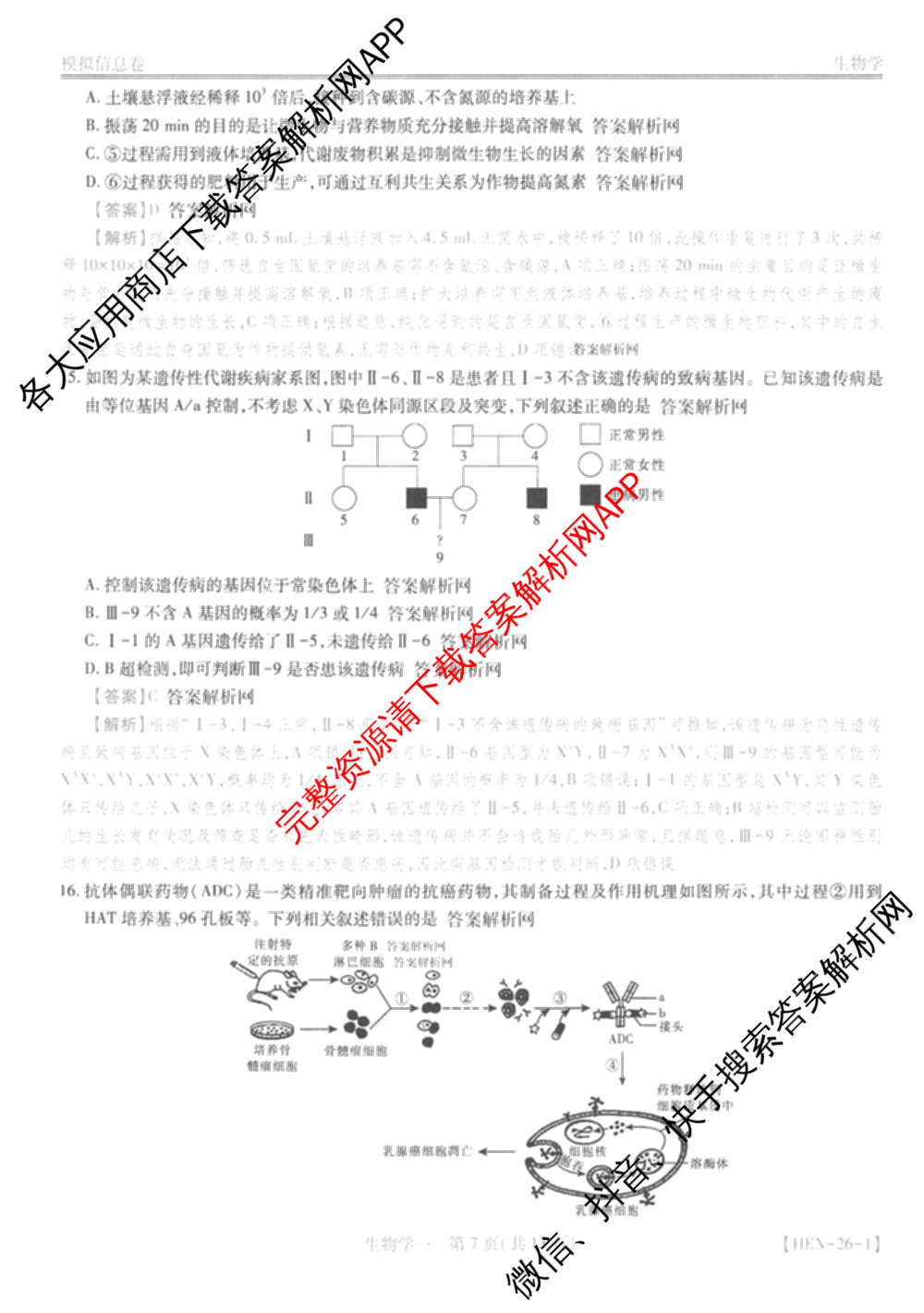 2026届智慧上进名校学术联盟高考模拟信息卷&冲刺卷&预测卷(一)1(已更新化学(I-26-1) 历史(26-1) 生物(II)等49份)生物答案