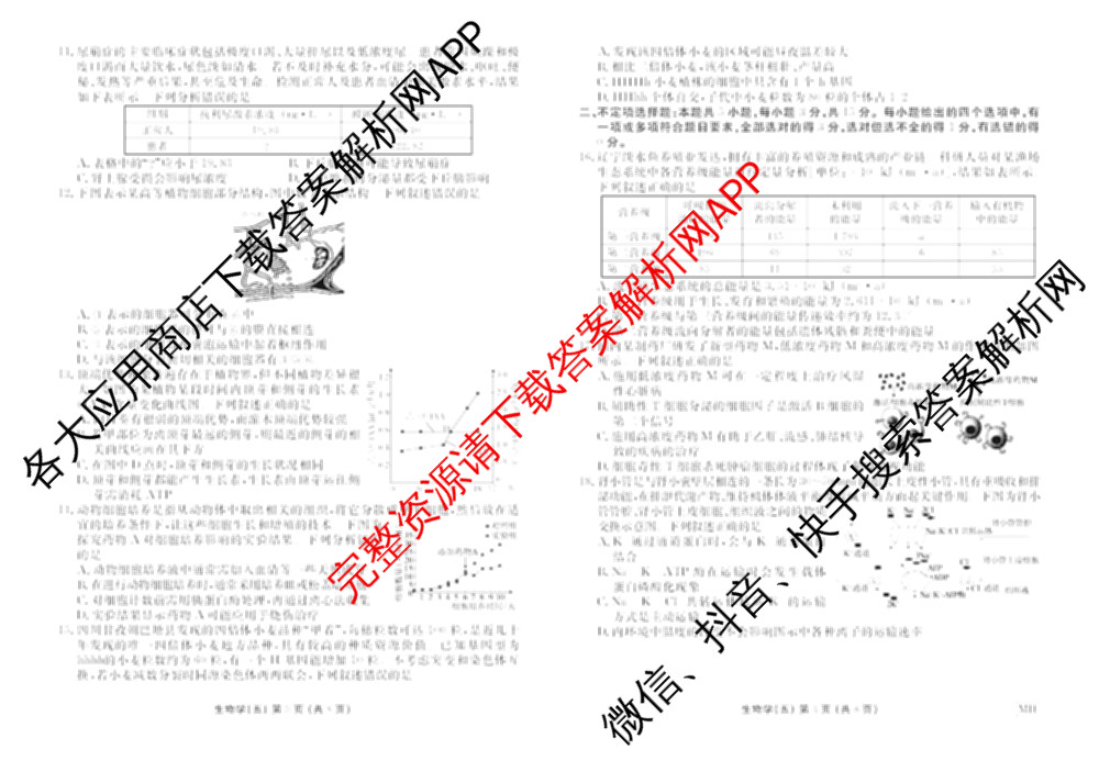衡水金卷先享题2026年学科素养评价练(五)5各科答案及试卷（含政治(AH)【安徽四川甘肃专版】 物理(HN)【湖南专版】 生物(山东专版)等）生物试题