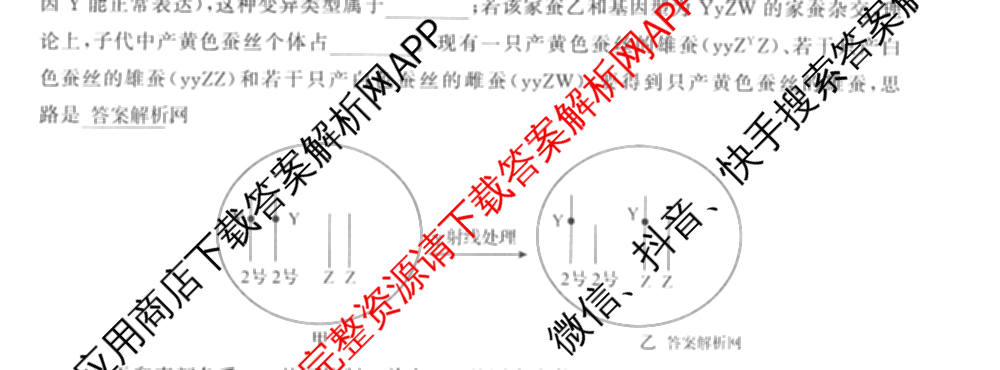 天舟高考衡中同卷2026年普通高等学校招生全国统一考试模拟信息卷(六)6试卷及答案汇总（含化学(山东版) 数学(无字母) 文综(新疆版)等）生物试题