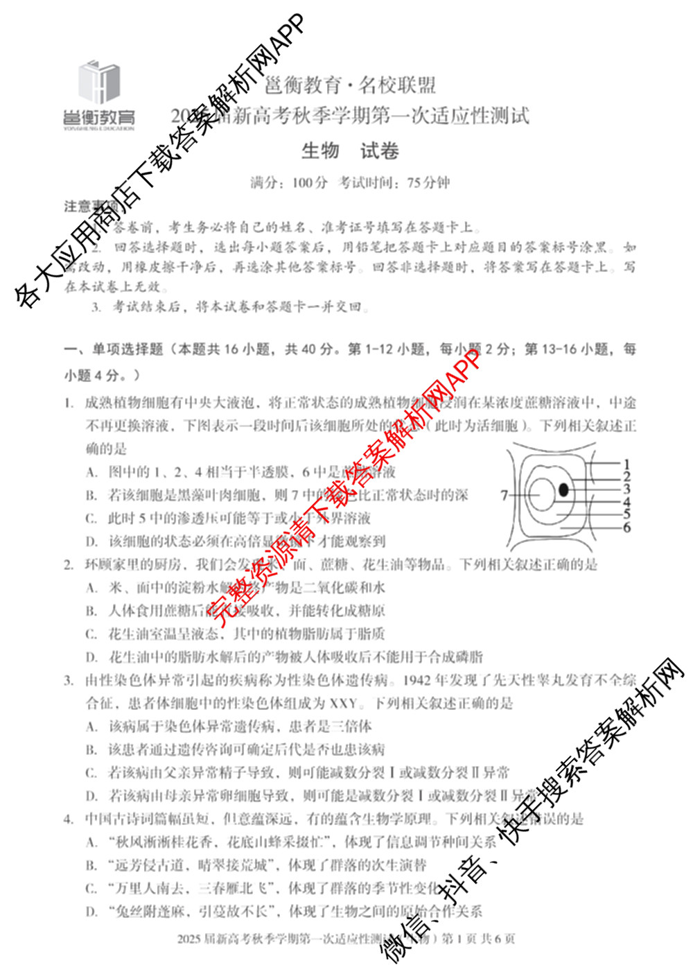 广西邕衡教育名校联盟2025届新高考秋季学期第一次适应性测试试卷及答案汇总（含化学 地理 英语等）生物试题