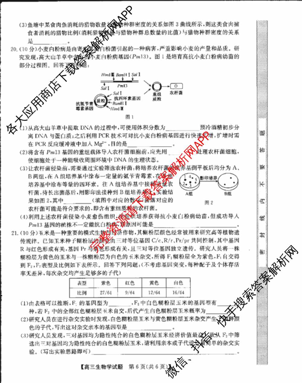 临洮县2025年暑假学习质量检测(8月)高三各科答案及试卷（含政治 化学 数学等）生物试题