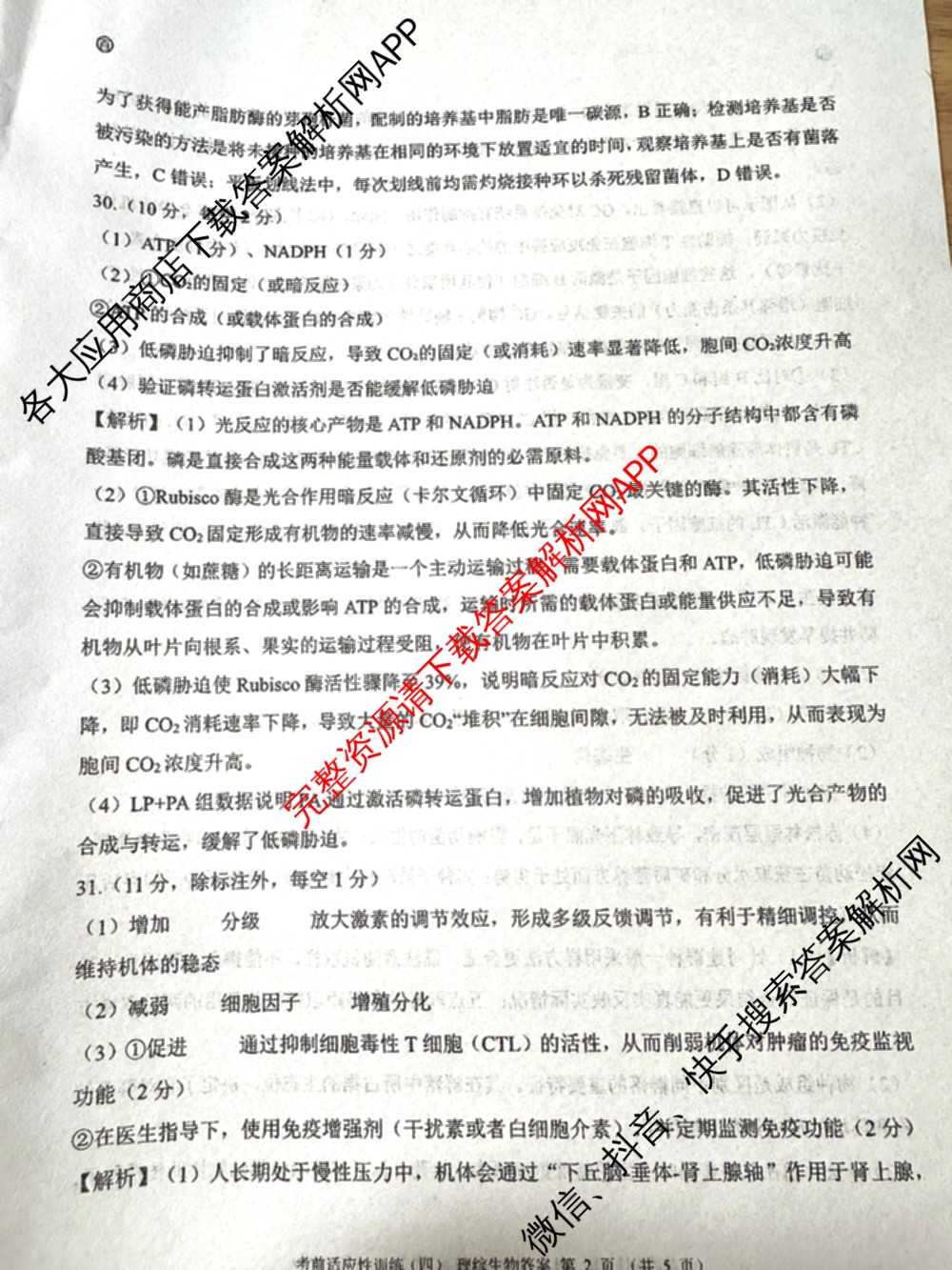 百师联盟2026届高三考前适应性训练(四)试卷及答案汇总(已更新历史(百G)、政治(百L)、语文(百)等26份)理综答案
