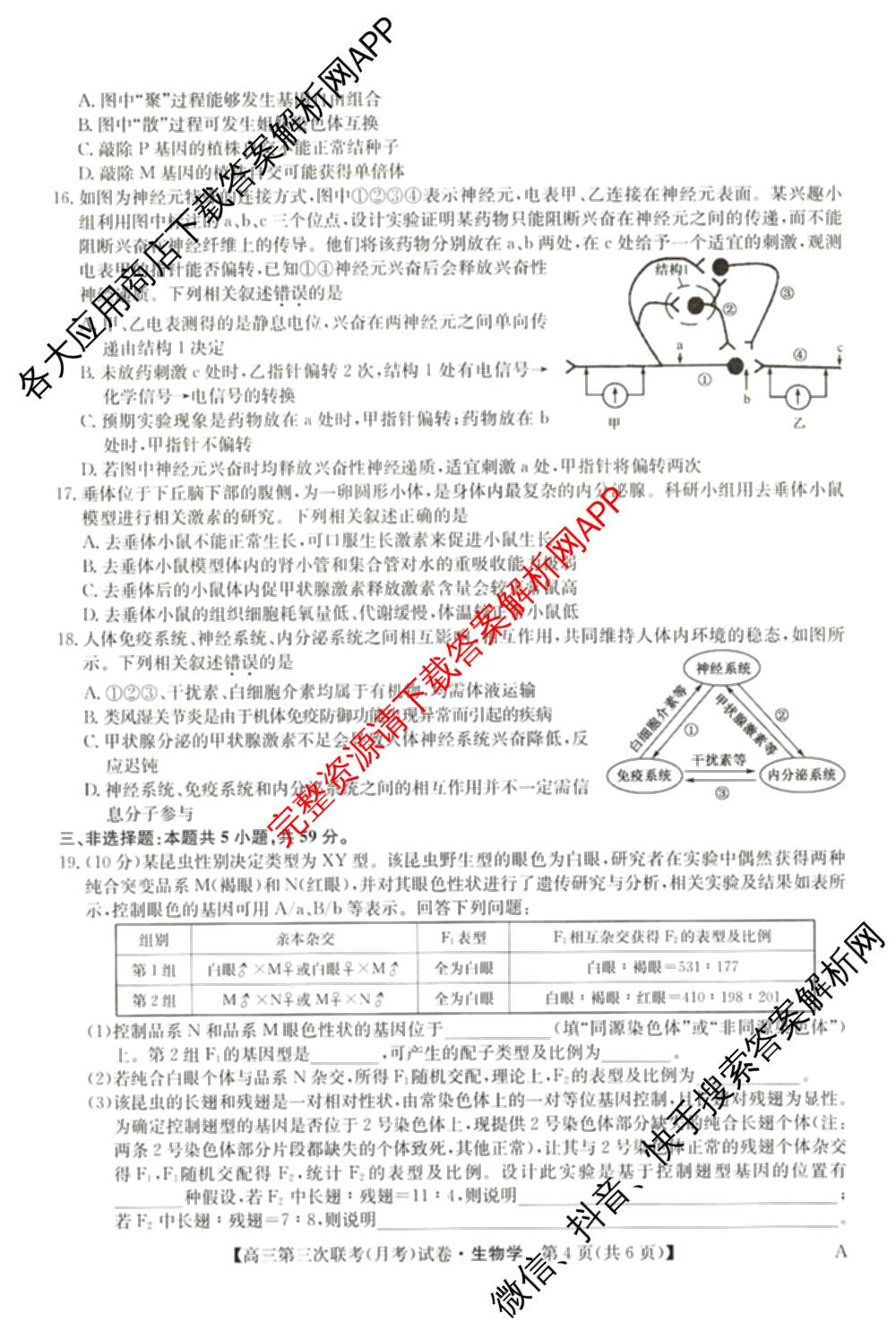 全国名校大联考2024~2025学年高三第三次联考(月考)试卷及答案汇总: 含生物(B)、物理(CS)、化学(C)试卷解析生物试题