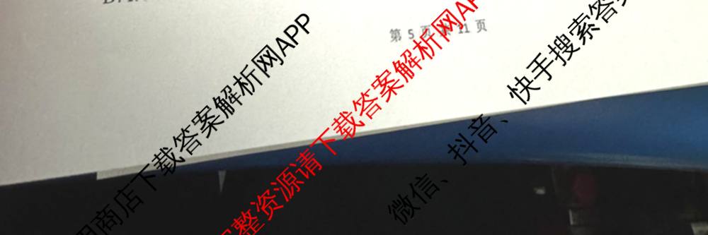 石家庄精英中学2024-2025学年第二学期高三第一次调研考试: 含数学 政治 历史试卷解析英语试题