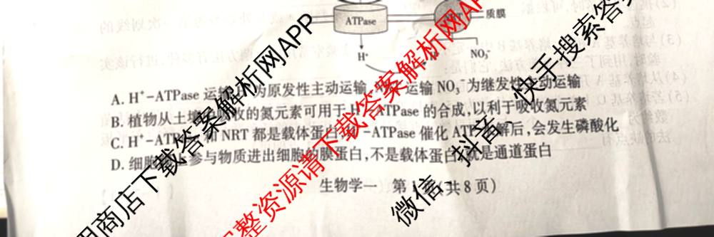 2026届智慧上进名校学术联盟高考模拟信息卷&冲刺卷&预测卷(一)1(已更新化学(I-26-1) 历史(26-1) 生物(II)等49份)生物试题